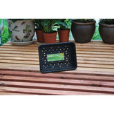 Garland plastic tray Small Seed Tray Black with drainage 23x17x6 cm